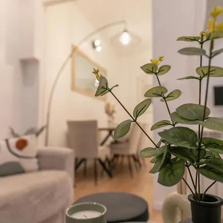 Mba - Courcelles - Splendide